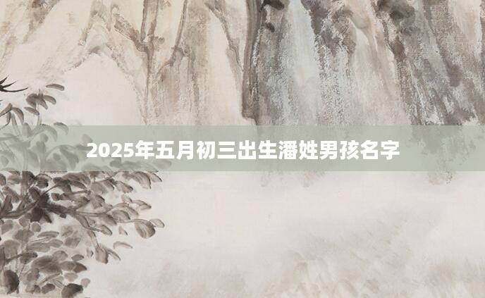 2025年五月初三出生潘姓男孩名字