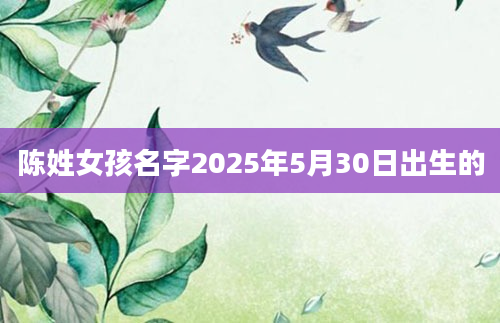 陈姓女孩名字2025年5月30日出生的