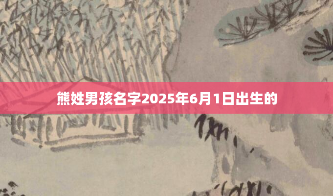 熊姓男孩名字2025年6月1日出生的