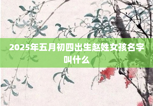 2025年五月初四出生赵姓女孩名字叫什么