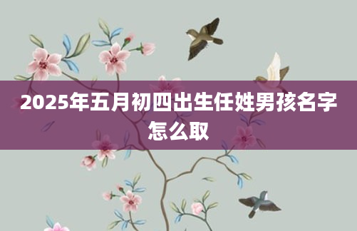 2025年五月初四出生任姓男孩名字怎么取