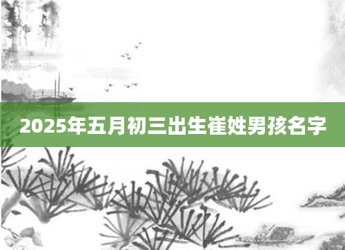 2025年五月初三出生崔姓男孩名字