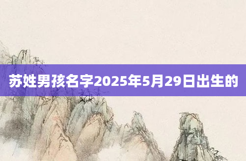 苏姓男孩名字2025年5月29日出生的