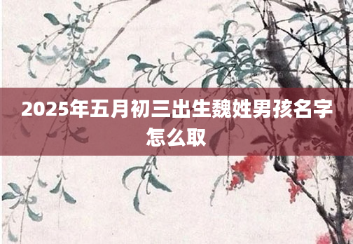 2025年五月初三出生魏姓男孩名字怎么取