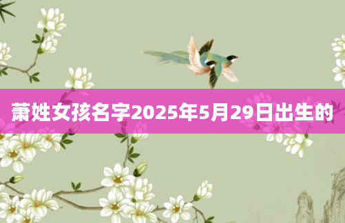 萧姓女孩名字2025年5月29日出生的