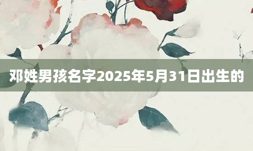 邓姓男孩名字2025年5月31日出生的