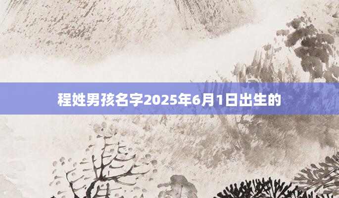 程姓男孩名字2025年6月1日出生的