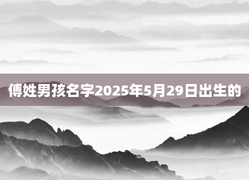 傅姓男孩名字2025年5月29日出生的