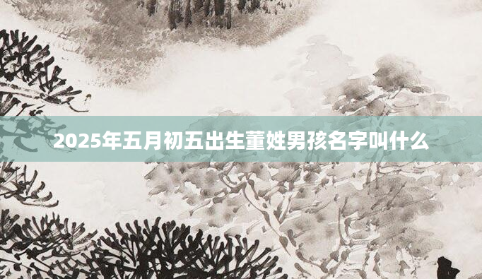 2025年五月初五出生董姓男孩名字叫什么