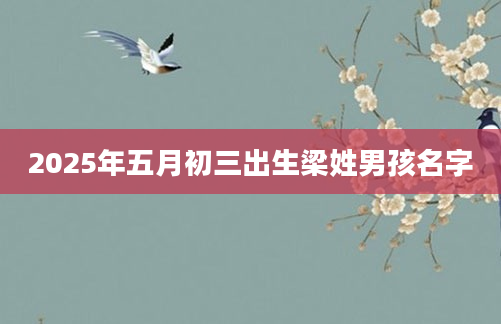 2025年五月初三出生梁姓男孩名字
