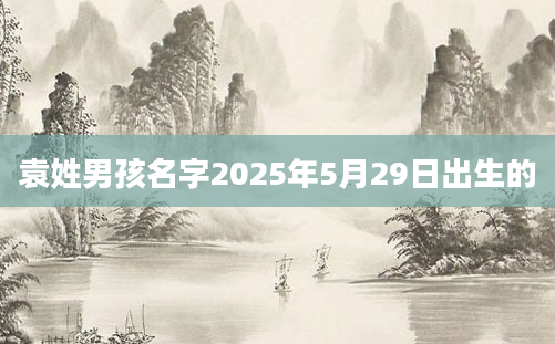 袁姓男孩名字2025年5月29日出生的