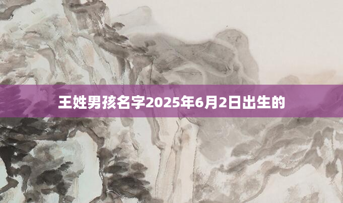 王姓男孩名字2025年6月2日出生的