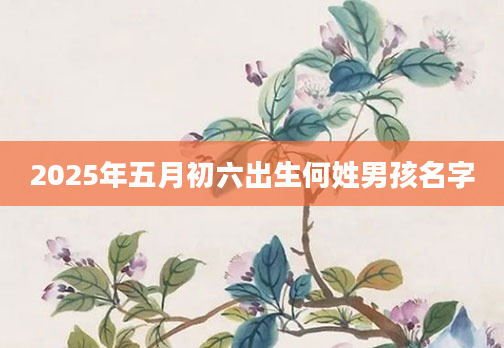 2025年五月初六出生何姓男孩名字