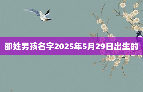 邵姓男孩名字2025年5月29日出生的