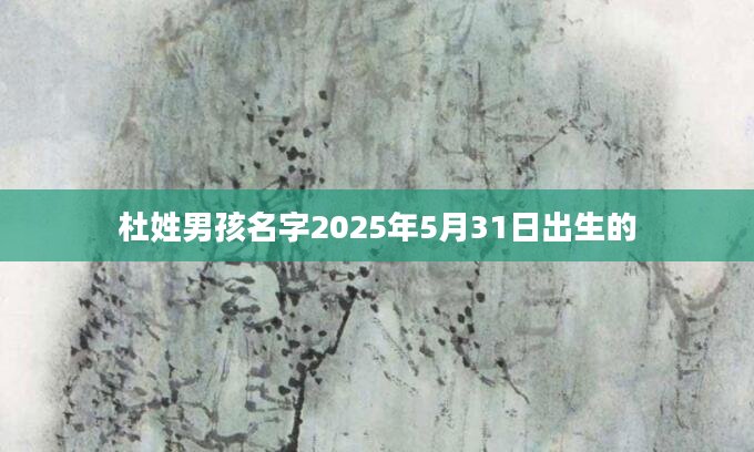 杜姓男孩名字2025年5月31日出生的