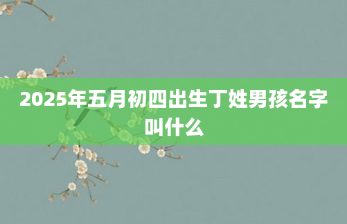 2025年五月初四出生丁姓男孩名字叫什么