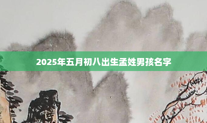 2025年五月初八出生孟姓男孩名字