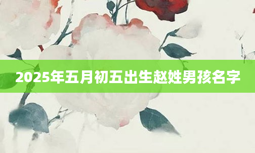 2025年五月初五出生赵姓男孩名字