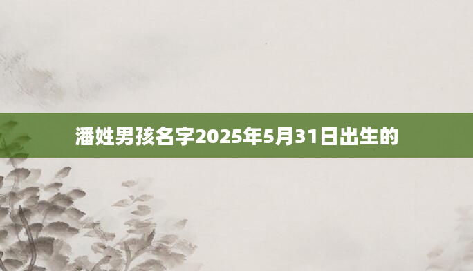 潘姓男孩名字2025年5月31日出生的