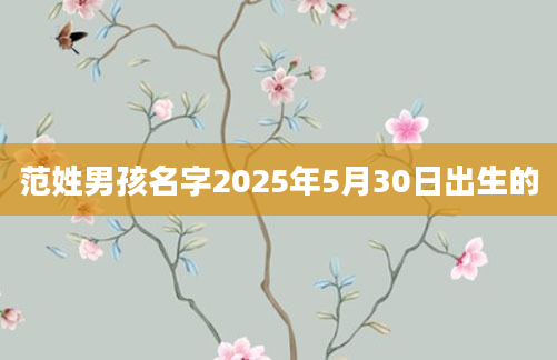 范姓男孩名字2025年5月30日出生的
