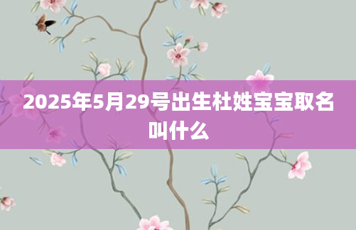 2025年5月29号出生杜姓宝宝取名叫什么