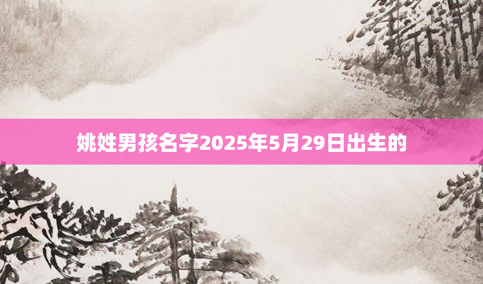 姚姓男孩名字2025年5月29日出生的