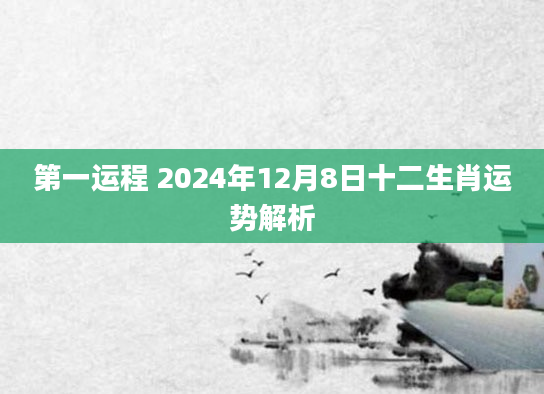 第一运程 2024年12月8日十二生肖运势解析