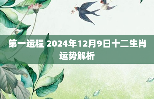 第一运程 2024年12月9日十二生肖运势解析