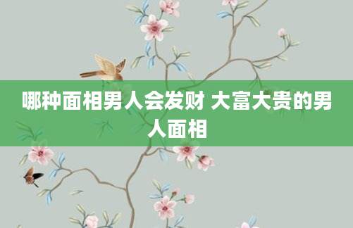 哪种面相男人会发财 大富大贵的男人面相