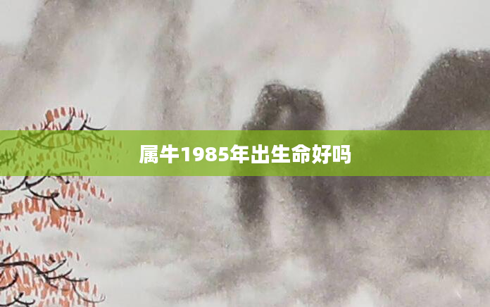 属牛1985年出生命好吗