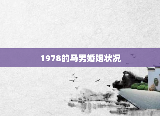 1978的马男婚姻状况