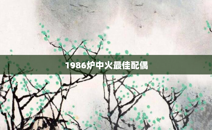 1986炉中火最佳配偶