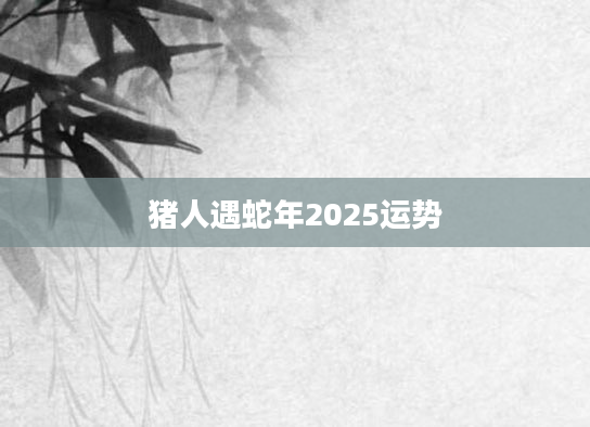 猪人遇蛇年2025运势