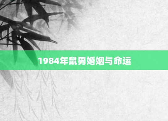 1984年鼠男婚姻与命运