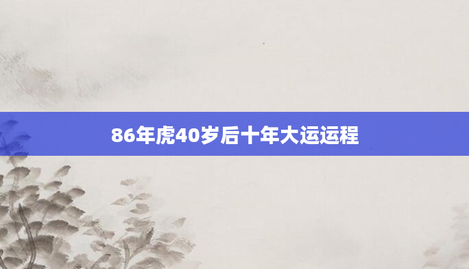 86年虎40岁后十年大运运程