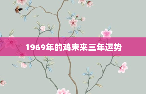 1969年的鸡未来三年运势