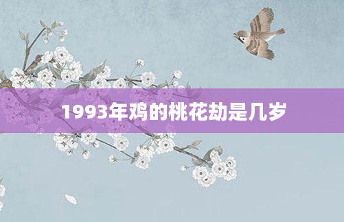 1993年鸡的桃花劫是几岁