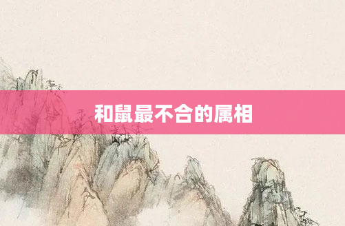 和鼠最不合的属相