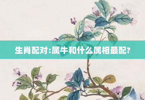 生肖配对:属牛和什么属相最配?