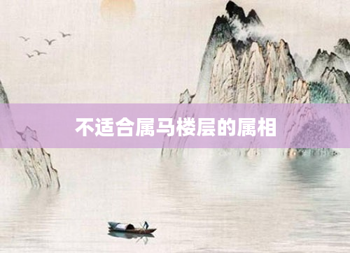 不适合属马楼层的属相