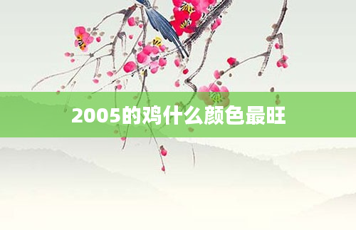 2005的鸡什么颜色最旺
