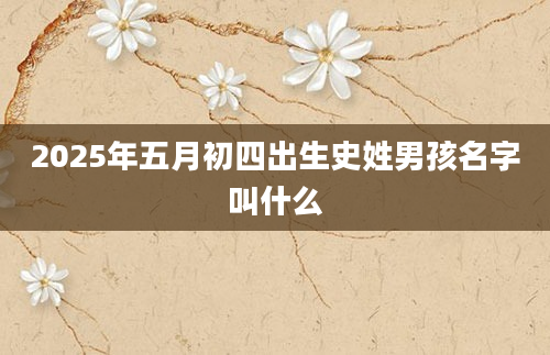 2025年五月初四出生史姓男孩名字叫什么