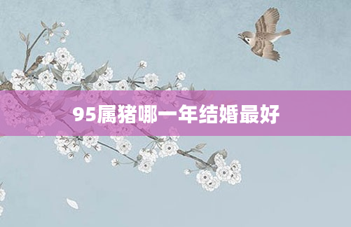 95属猪哪一年结婚最好