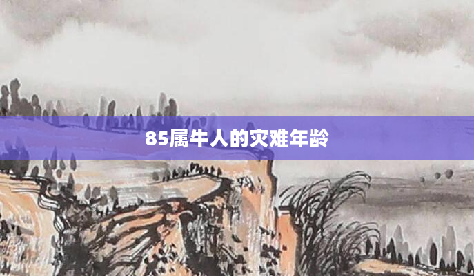 85属牛人的灾难年龄