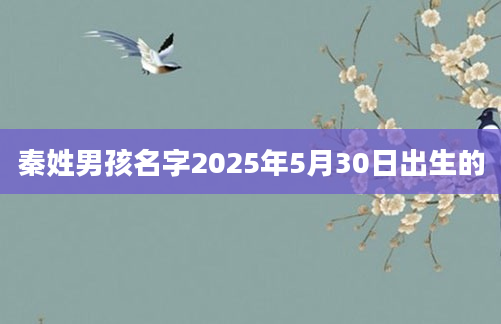 秦姓男孩名字2025年5月30日出生的