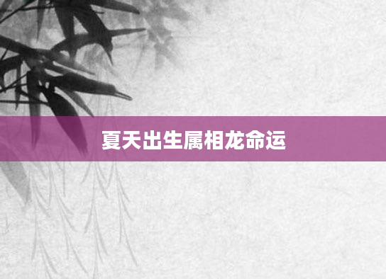 夏天出生属相龙命运