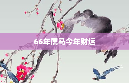 66年属马今年财运