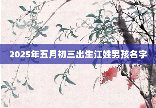 2025年五月初三出生江姓男孩名字