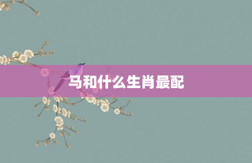 马和什么生肖最配