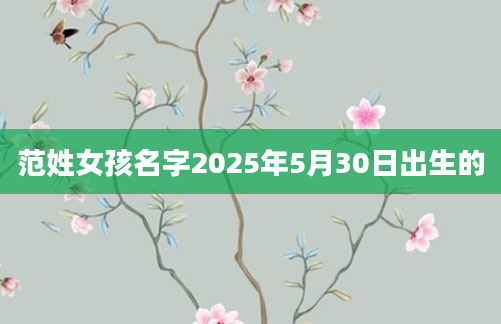 范姓女孩名字2025年5月30日出生的